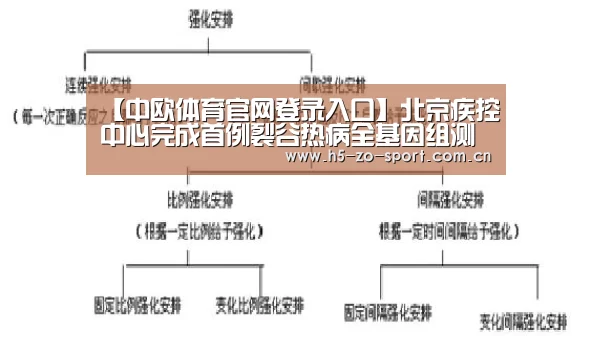中欧体育app官方下载