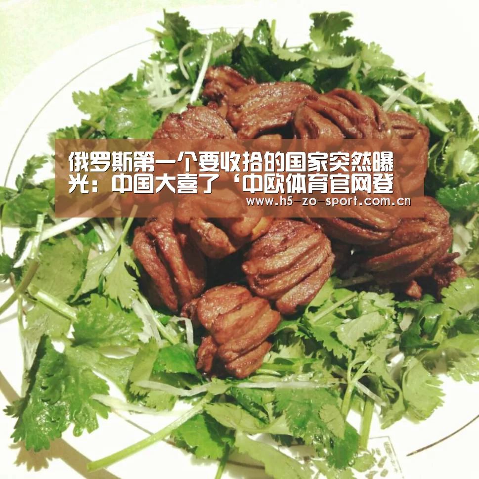俄罗斯第一个要收拾的国家突然曝光:中国大喜了‘中欧体育官网登录入口’(图2) 中欧体育官方网站最新版