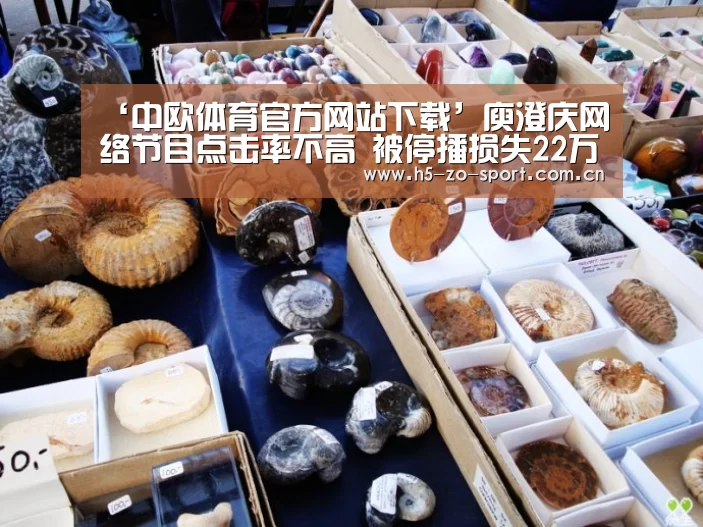 中欧体育官方网站最新版
