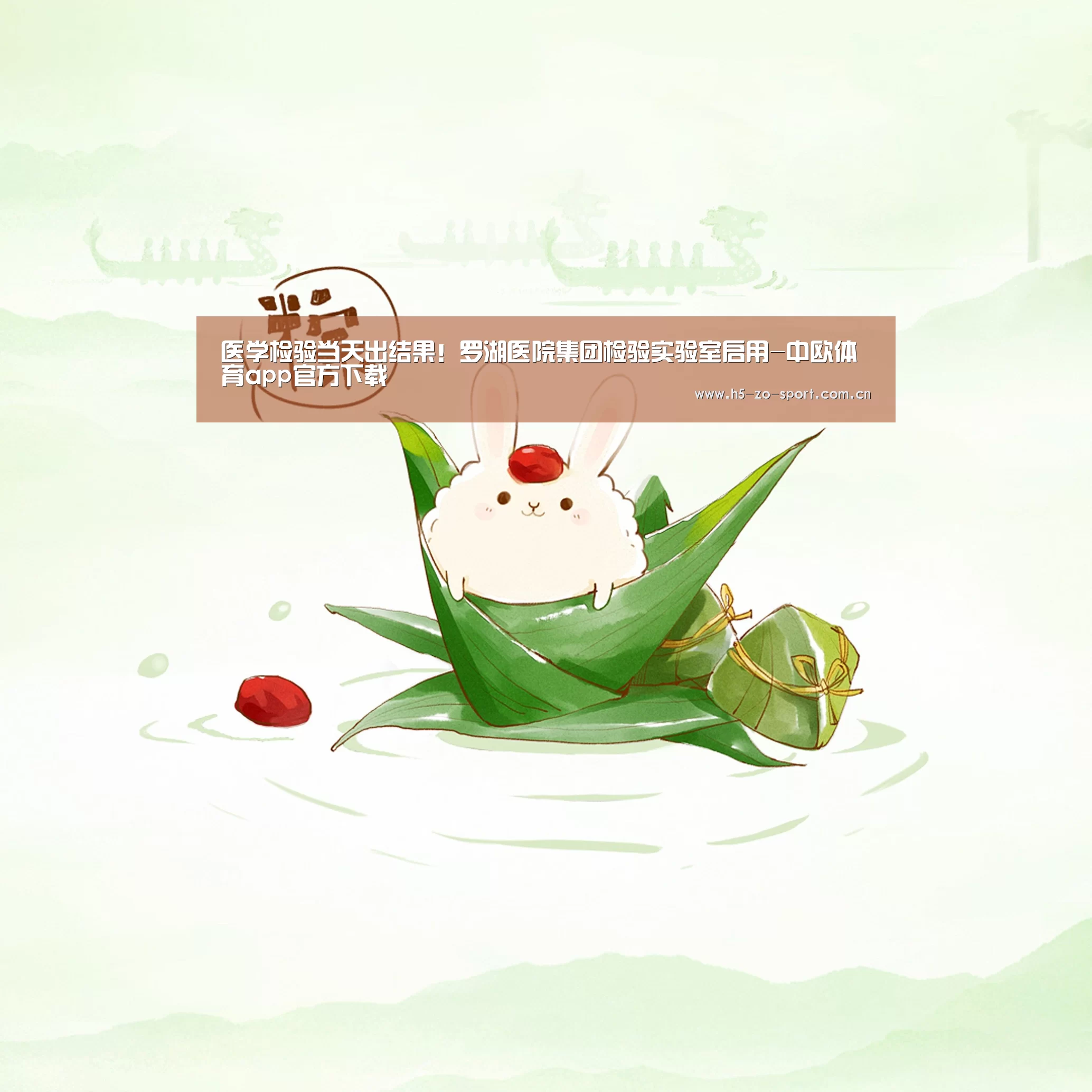 中欧体育官方网站最新版