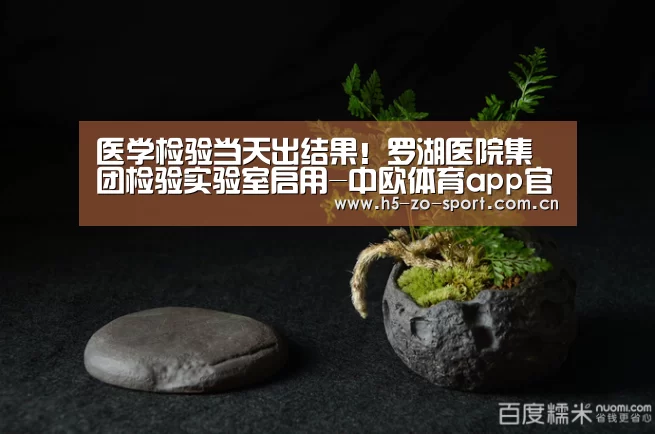 中欧体育app官方下载