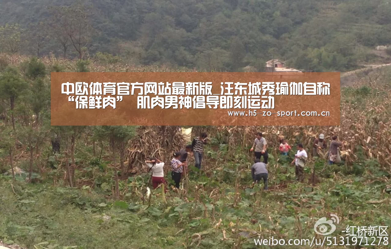 中欧体育官网登录入口