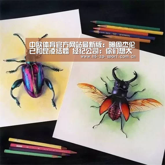 中欧体育官方网站最新版